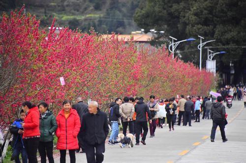 乐昌市特殊教育事业单位最新新闻动态发布